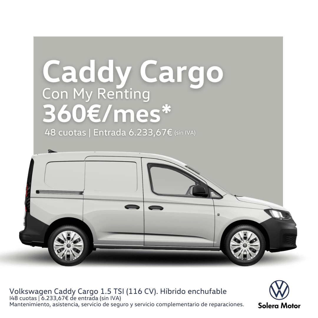 Potencia, eficiencia y espacio para llevar tu negocio más lejos desde 360€/mes*.